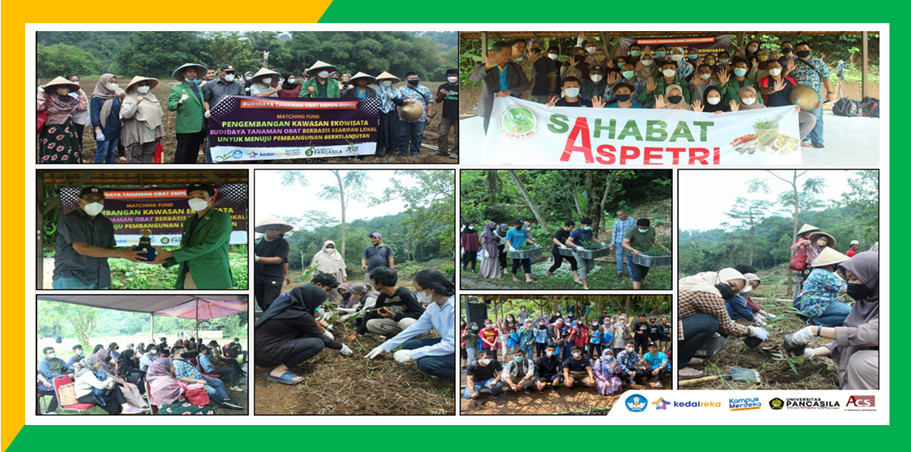 Universitas Pancasila Kembangkan Ekowisata Budidaya Tanaman Obat Universitas Pancasila Kembangkan Ekowisata Budidaya Tanaman Obat